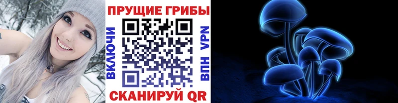 Купить где  Мыски  Псилоцибиновые грибы Psilocybe 